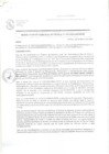 Vista preliminar de documento RGM 028.pdf
