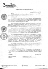 Vista preliminar de documento R.A. Nº032-2022.pdf