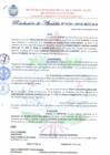 Vista preliminar de documento Resolución de Alcaldía N° 151-2019-MDCA/A.pdf