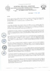 Vista preliminar de documento REA N° 011.pdf