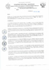 Vista preliminar de documento REA N° 017.pdf