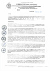 Vista preliminar de documento REA N° 018.pdf