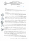Vista preliminar de documento REA N° 019.pdf