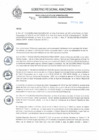 Vista preliminar de documento REA N° 021.pdf
