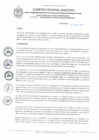 Vista preliminar de documento REA N° 022.pdf