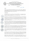 Vista preliminar de documento REA N° 024.pdf