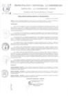 Vista preliminar de documento RGM-196-2022-GM-MPLC