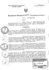 Vista preliminar de documento RD061-MIDAGRI-DVDIAR-PEBPT-DE.pdf