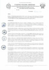 Vista preliminar de documento RD N°115.pdf