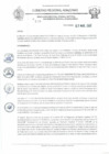 Vista preliminar de documento RD N°118.pdf
