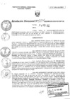 Vista preliminar de documento RD017-MIDAGRI-DVDIAR-PEBPT-DE.pdf