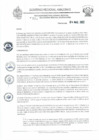 Vista preliminar de documento RD N°124.pdf