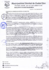 Vista preliminar de documento R.A-N°264-2020-MDCE/A