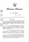 Vista preliminar de documento RD N° 049-2022.pdf