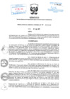 Vista preliminar de documento ResGG12019.pdf