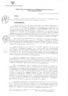 Vista preliminar de documento RGAF-N-007-2022-MDSA