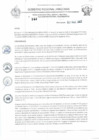 Vista preliminar de documento RD N°142.pdf