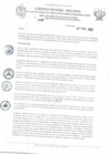 Vista preliminar de documento RD N°145.pdf