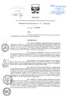 Vista preliminar de documento ResGGeneral0012015.pdf