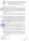 Vista preliminar de documento R.A-N°294-2020-MDCE/A