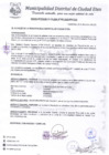 Vista preliminar de documento R.A-N°307-2020-MDCE/A