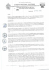 Vista preliminar de documento RD N°152.pdf