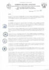 Vista preliminar de documento RD N°156.pdf