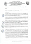 Vista preliminar de documento RD N°157.pdf