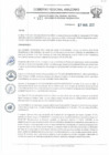 Vista preliminar de documento RD N°161.pdf