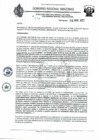 Vista preliminar de documento RD N°218.pdf