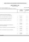 Vista preliminar de documento Anexo