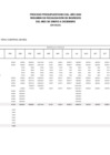 Vista preliminar de documento Saldo de balance año 2020