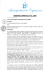 Vista preliminar de documento OM-767