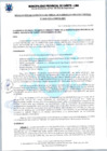 Vista preliminar de documento 100-2021-GODUR.pdf