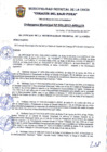 Vista preliminar de documento ORDENANZA MUNICIPAL Nº021-2017-MDLU-A.pdf