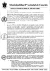 Vista preliminar de documento RESOLUCION DE ALCALDIA N° 255
