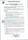 Vista preliminar de documento 391-2021-GODUR.pdf