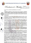 Vista preliminar de documento RA-335