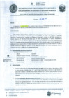 Vista preliminar de documento RESOLUCION DE ORGANO SANCIONADOR N° 13-2022