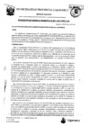 Vista preliminar de documento RGM-1