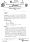Vista preliminar de documento RGM-397
