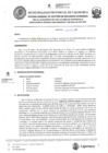 Vista preliminar de documento ROS-204