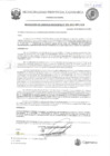 Vista preliminar de documento RGM-391
