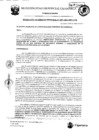 Vista preliminar de documento RGM-387