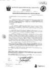 Vista preliminar de documento RGM-390
