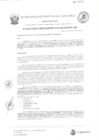 Vista preliminar de documento RGM-384