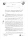 Vista preliminar de documento RGM-395