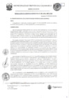 Vista preliminar de documento RGM-381