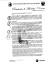 Vista preliminar de documento RA-311