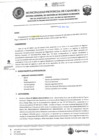 Vista preliminar de documento ROS-176